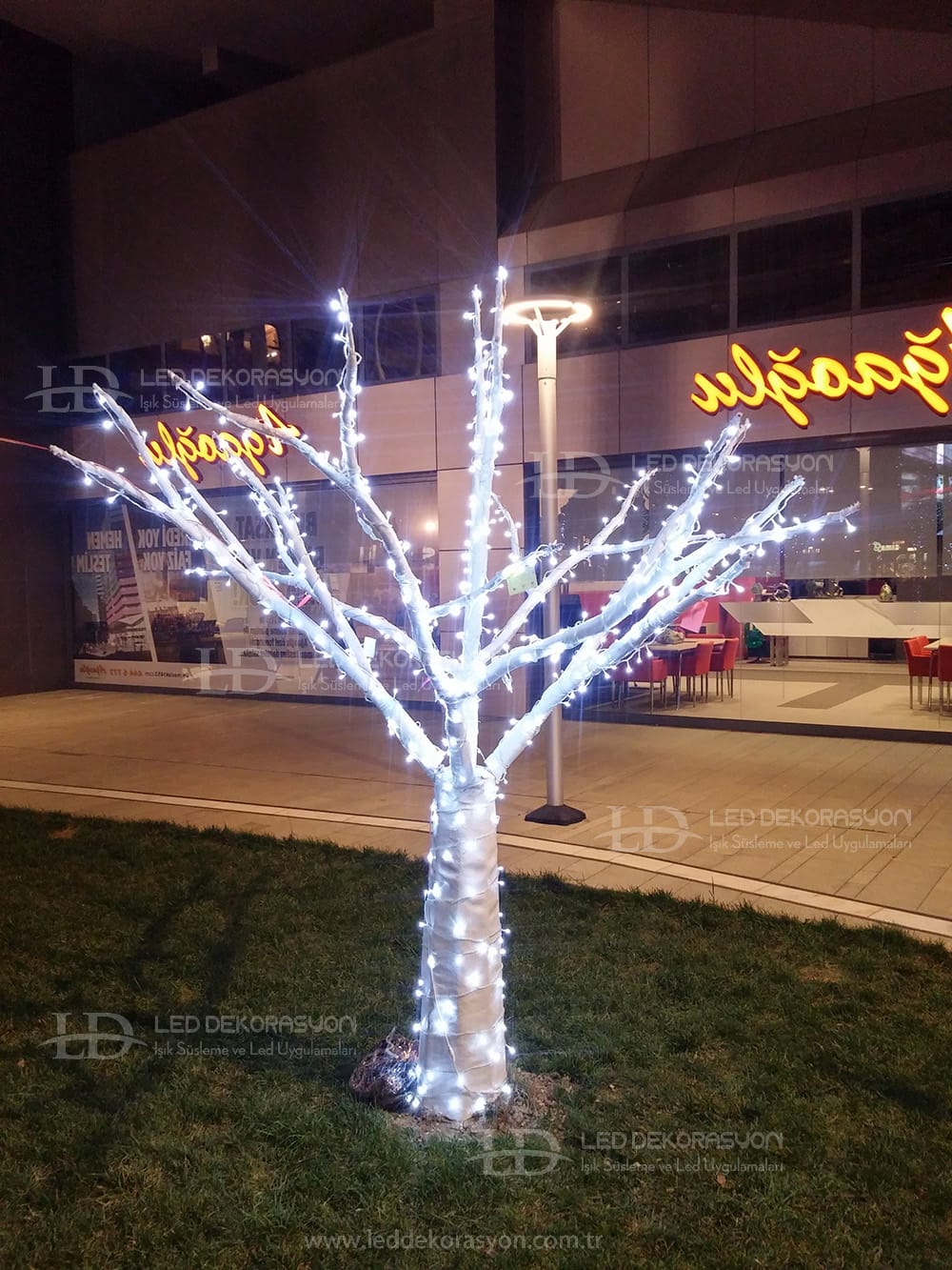 ışıklı ağaç
